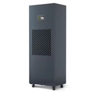 Máy hút ẩm Dorosin HP-10S